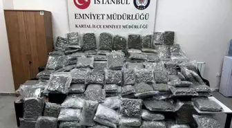 Maltepe'de Petshop Görünümlü İş Yerinde Uyuşturucu Operasyonu