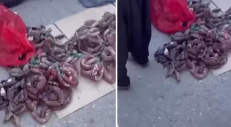 Burası Hindistan değil Türkiye! Videoyu izleyenler şaşkınlığını gizleyemiyor