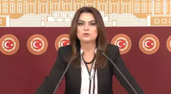 Öcalan'ın Tecridinin Sonlandırılması Talebi