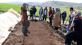 Adıyaman'da Kadın Çiftçiler İçin Fide Yetiştiriciliği Projesi Başlatıldı