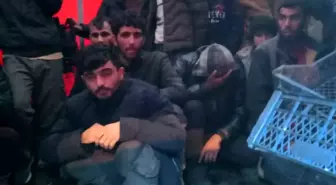 Sakarya'da Durdurulan Tırda 46 Düzensiz Göçmen Yakalandı