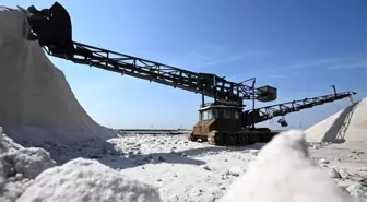 Tianjin'de Tuz Hasadı Yoğun Şekilde Devam Ediyor