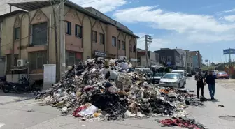 Bornova'da Çöp Sorunu: Belediye Çözüm İçin Adım Attı