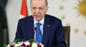 Erdoğan'ın diplomasıyla ilgili iddiaya Dezenformasyonla Mücadele Merkezi'nden yalanlama