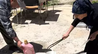 Hakkari'de Yılan Kabusu: Aka Ailesi Zor Günler Geçiriyor