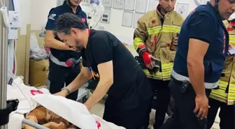 Hatay'da Küçük Kız Çocuğu Yüksekten Düşerek Yaralandı