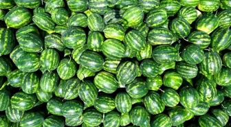 Adana, Türkiye'nin Karpuz İhtiyacının Yüzde 25'ini Karşılayacak