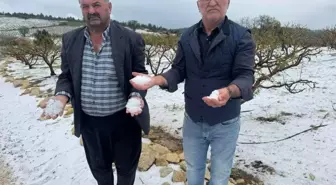 Erdemli'de Dolu Felaketi: Çiftçiler Acil Destek Bekliyor