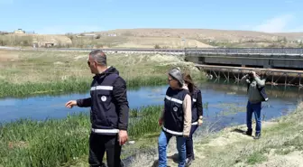 Van Gölü'nde İ inci Kefali için Kaçak Avcılığa Sıkı Denetim