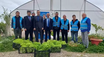 Denetimli Serbestlikteki Hükümlüler Tarımla Topluma Kazandırılıyor
