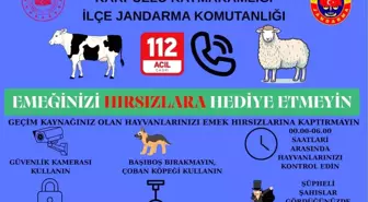Aydın'da Jandarma, Kurban Bayramı Öncesi Hayvan Hırsızlığına Karşı Bilgilendirme Yaptı