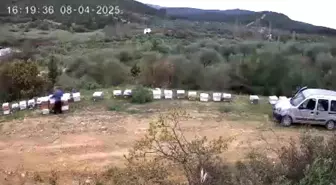 Arı Kovanı Hırsızlığı Güvenlik Kamerası ile Çözüldü