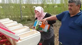 Emel Sağırkaya: Kadınların Azmi Tarımda Güç Kazandırıyor