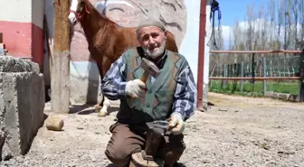 77 Yaşında Seyyar Nalbantlık Yapan Son Usta: Hüseyin Polat
