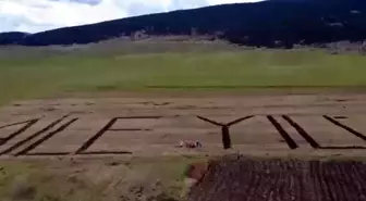 Ardahan'da tarlasına traktörüyle 'Aile Yılı' yazdı