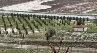 Çankırı'da Sağanak ve Dolu Tarım Alanlarını Vurdu