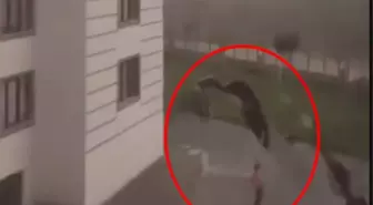 Fırtınada Çatı Parçası Çocuğun Üzerine Düştü