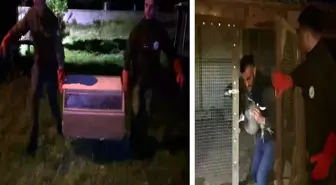 Hayvanat bahçesi gibi ev: Evinden çıkanlar hayrete düşürdü