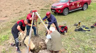 Diyarbakır'da Kuyuya Düşen Koyun İtfaiye Ekiplerince Kurtarıldı