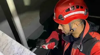 Gömeç İtfaiye Ekipleri, Yavru Kediyi Kurtardı