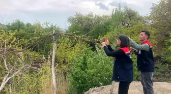 Kars'ta Çiftçilere Hasat Öncesi Pestisit Kullanımı Eğitimi Verildi