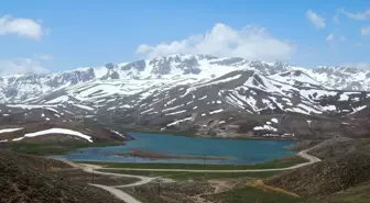 Eğrigöl Yaylası'ndaki Çiçekler Bu Bahar Açmadı, Doğa Tahribatında Artış Var