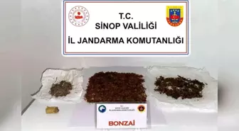 Sinop'ta Uyuşturucu Operasyonu: 30,25 Gram Bonzai Ele Geçirildi