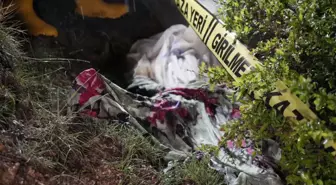 Yiyecek arayan ayı mezarlığa dadandı! Mezarı tahrip etti, cenazeyi mezardan çıkardı