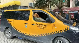 Artvin'de Taksici Reşat Dalkılıç ve Tarçın'ın Dostluğu