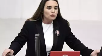 Babasının mezarında saldırıya uğradı! Alparslan Türkeş'in kızından açıklama var