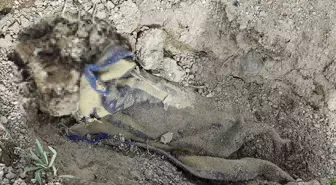 Çoban, boş arazide battaniyeye sarılarak gömülmüş ceset buldu