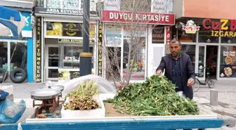 Ağrı'nın Diyadin ilçesinde Işkın ve Çiriş Otları Sezonu Başladı