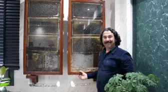 İş İnsanı Hidayet Gülpınar'ın Ofisinde Cam Arı Kovanı