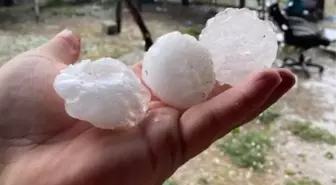 Şanlıurfa'da Dolu Felaketi: Tarım Arazileri Zarar Gördü