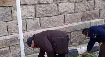 Afyonkarahisar'da Camilerde Temizlik ve Tadilat Projesi