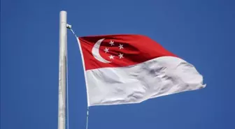 Singapur'da Parlamento Seçimleri Yapılıyor