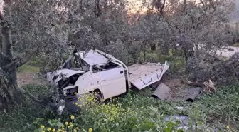 Bursa'da Kamyonet Zeytin Ağaçlarına Daldı: Sürücü Yaralandı