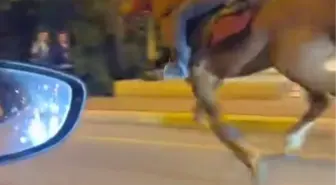 Serdivan'da Atla Dörtnala Giden Adam Şaşkınlık Yarattı