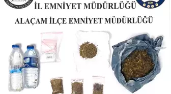 Samsun'da Uyuşturucu Operasyonu: Bonzai ve Kenevir Tohumu Ele Geçirildi