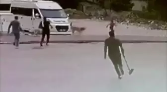 Sokak Köpekleri Çocuğa Saldırdı: Esnaf Kurtardı