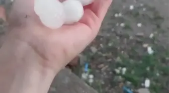 Ceyhan'da Dolu Yağışı Tarım Arazilerine Zarar Verdi