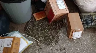 Ağrı'da PTT Kargo Şubesinde Su ile Temas Eden Gönderiler Mağduriyet Yarattı