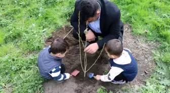 Davut Köyü'nde Fidan Dikimi Etkinliği Düzenlendi