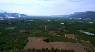 Devlet, İşlenmeyen Tarım Arazilerini Kiraya Verecek