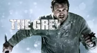 Gri Kurt filmi konusu ne oyuncuları kim? Gri Kurt filmi ne zaman, nerede çekildi?