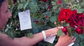 Hıdırellez dilek duası nedir, nasıl yapılır? Hıdırellez gecesi dilek duası nasıl okunur?