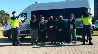 Aydın-İzmir Otoyolu'nda 12 Düzensiz Göçmen Yakalandı