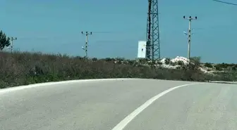 Kaplumbağaların Üreme Döneminde Sürücülerden Dikkat Çağrısı