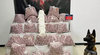 Kocaeli'nde Kamyonda 397 Bin Sentetik Ecza Hap Ele Geçirildi