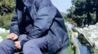 Mantar Toplamak İçin Gittiği Dağda Kaybolan Yaşlı Adamın Cansız Bedeni Bulundu